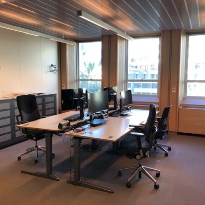 Hoe creëer je de ideale organisatie? De organisatie bezien als zelfbewust levend&nbsp;wezen